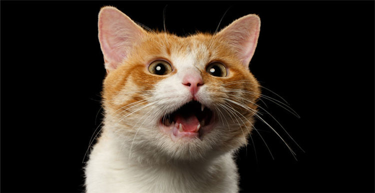 8月5日是返校季网购高峰期？！