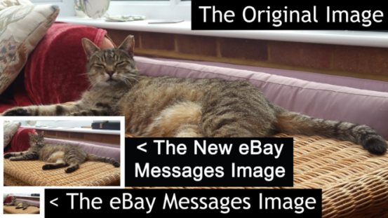 eBay Messages可发送大尺寸图片，定制卖家可以放心了