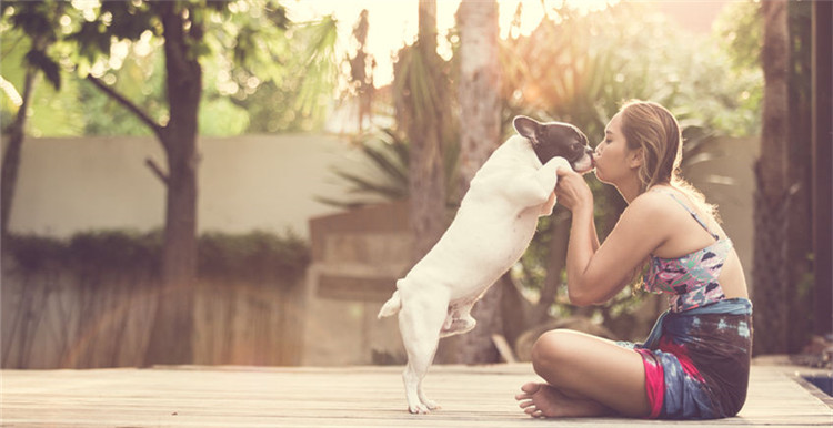 亚马逊最热门的13款宠物用品大集合