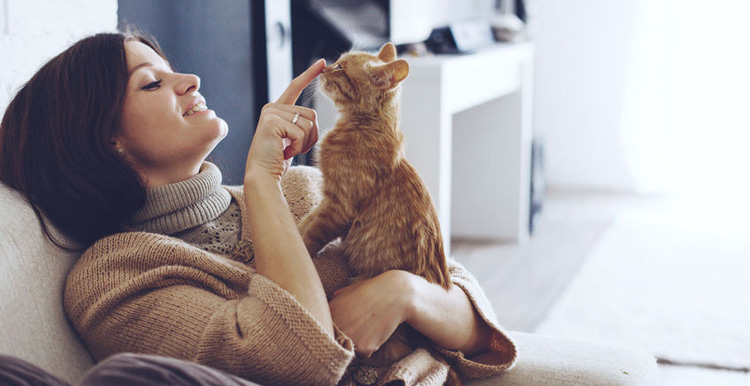 亚马逊美国站9月第一周宠物用品爆款分析，生活类产品逐渐升温