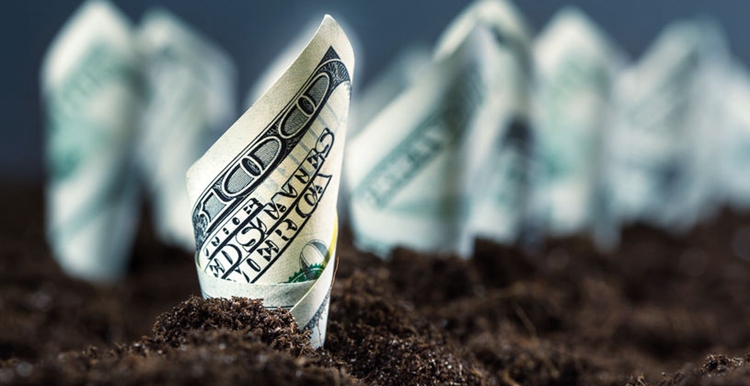 CCEE工厂秀⑮|泉州新时颖:用爆款思维开发女装产品，CCEE参展当月可获10倍回报