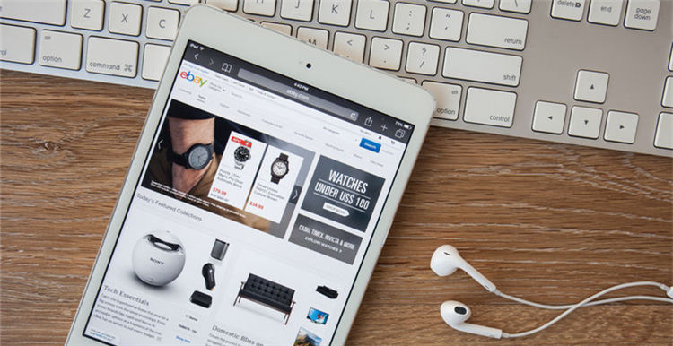 2017eBay全球Top 1000卖家：美国站中国卖家减少英国站增多，园艺品类销售最多