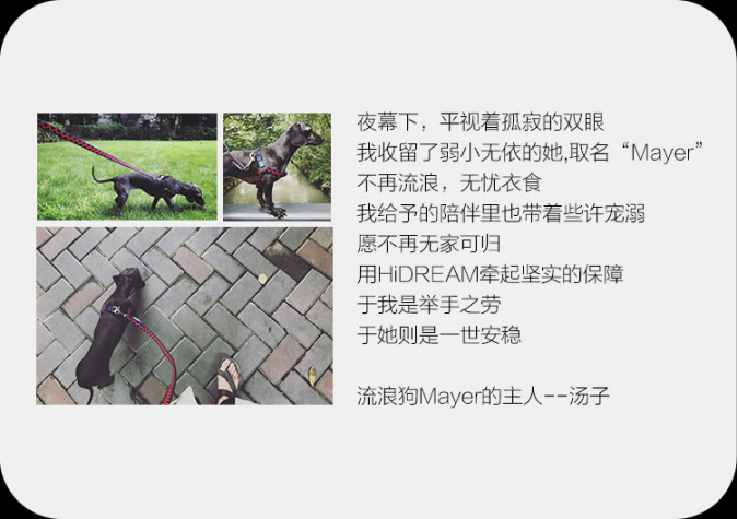 CCEE工厂秀（40）|HiDREAM：每款产品限量生产1999件，反对墨守成规用设计表达态度