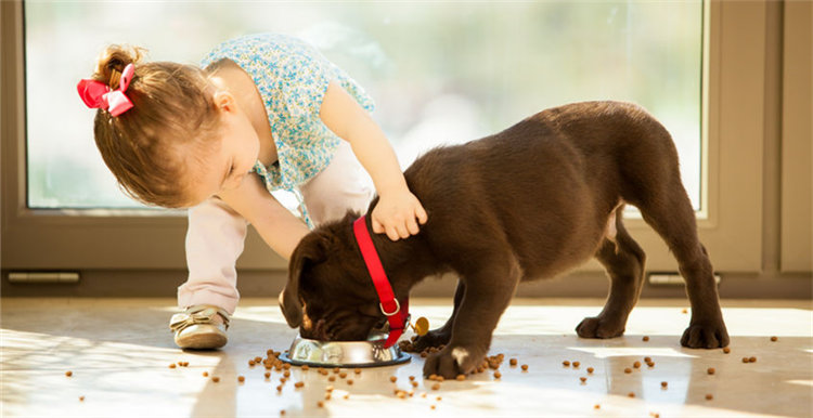宠物可穿戴设备市场大火，不知道卖什么可以看看这7款