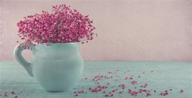 花卉植物電商市場前景廣闊，60%的荷蘭人都愛購買鮮花