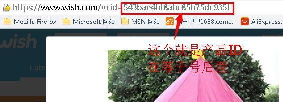 怎么查看竞争对手商品的Wish tags？
