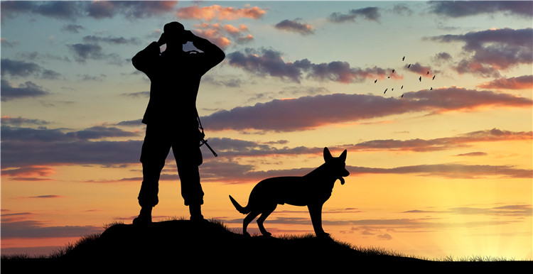 从跨境电商小兵到日出万单的行业大鳄，他靠的是“三板斧”独家招术