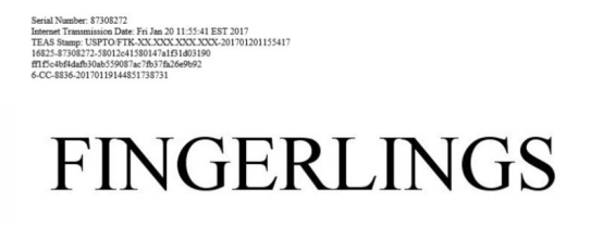 “指尖猴子”侵权事件追踪3:WOW WEE起诉讼书首次曝光!158位卖家已遭商标及版权侵权双重控诉