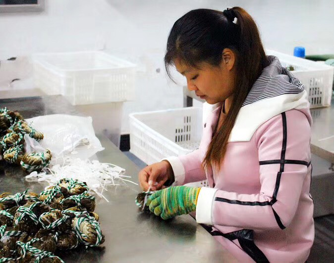 坡岛吃友们有福了！顺丰国际实现大闸蟹“跨国界运输”