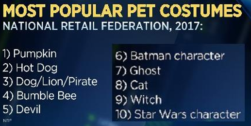美国：万圣节宠物服饰市场规模达4.4亿美元
