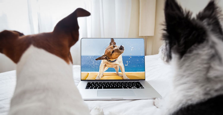 亚马逊产品直评过时了，视频Review才是王道！