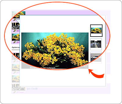 什么是eBay“特大图片浏览”特色功能，费用多少？