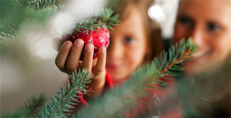 白宫圣诞装饰曝光，但今年这种爆红国外社媒的圣诞树你肯定没见过！