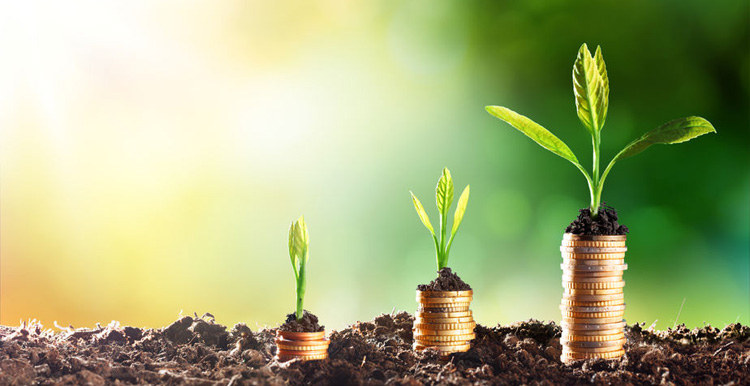 四大策略助你在亚马逊澳洲站旗开得胜，期待你爆单的消息！