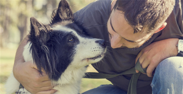 美国线上市场最受欢迎的宠物用品品牌及热卖品TOP30