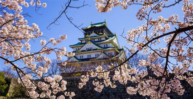 全面解读日本市场及亚马逊日本站的“门道”