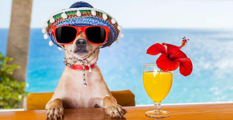 亚马逊2018年潜力产品大盘点，跟风爆品不如自己挖掘