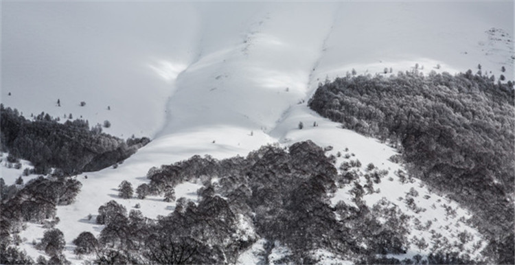 意大利北部遭暴雪袭击引发雪崩，酒店30个房间被积雪掩埋