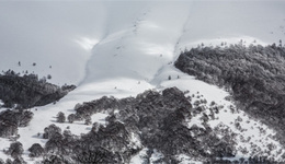 意大利北部遭暴雪袭击引发雪崩，酒店30个房间被积雪掩埋
