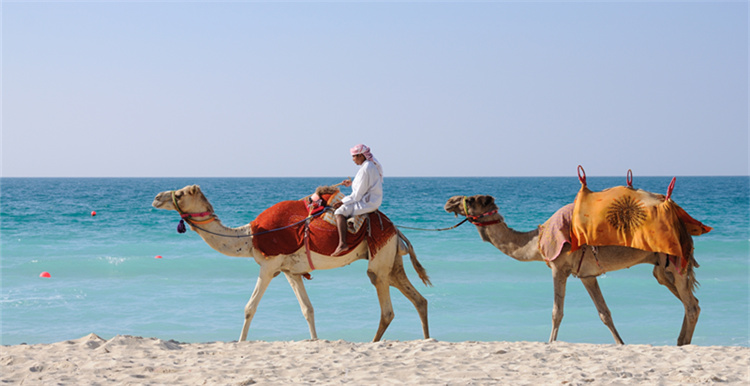 还担心中东电商市场的大蛋糕吃不到嘴里？一整套方案给到你！