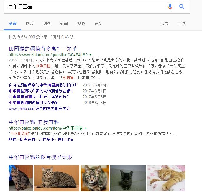 ​外贸自建站图片优化五步骤，为网站带来翻倍的流量