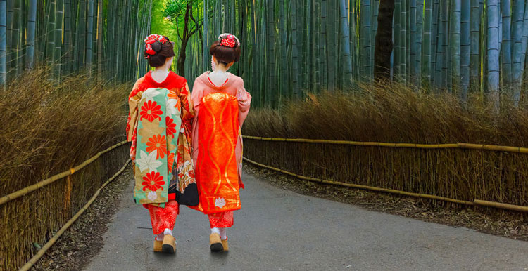 外贸自建站与平台的区别，外贸自建站与平台优劣势对比