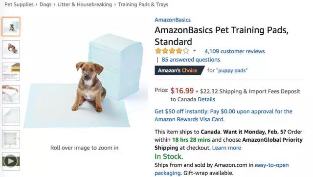 亚马逊宠物爆款：除异味猫砂“大杀四方”，连续7天蝉联榜首