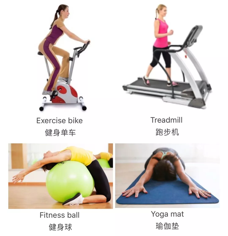 eBay德国站体育用品热销产品推荐及趋势分析