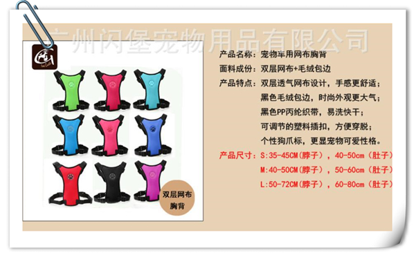 宠物用品零售额增长快，快来看看这款“潜力股”