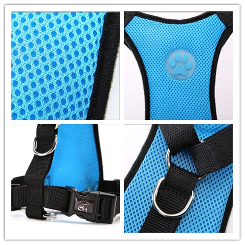 宠物用品零售额增长快，快来看看这款“潜力股”