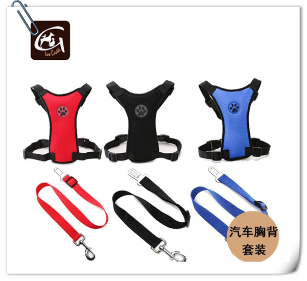 宠物用品零售额增长快，快来看看这款“潜力股”