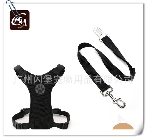 宠物用品零售额增长快，快来看看这款“潜力股”