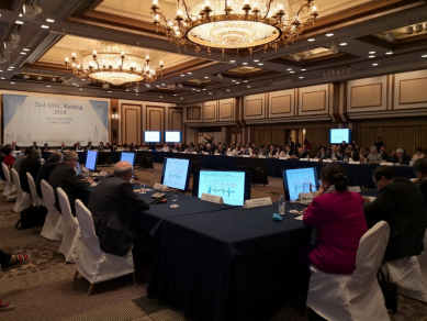  “中国商界大使”王树彤出席日本APEC峰会并展望“国际贸易2025”