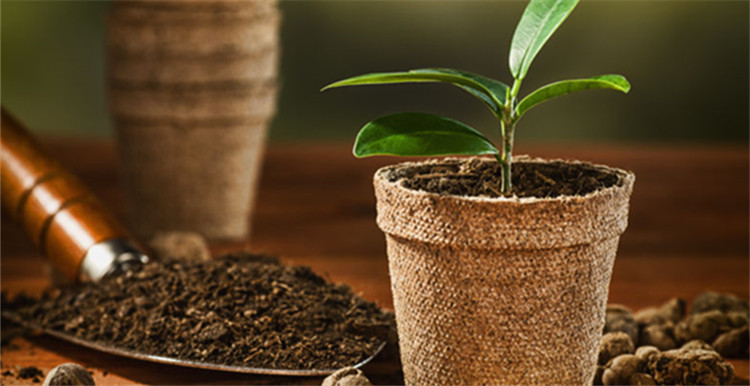 越南被曝咖啡造假：竟往咖啡粉中参杂电池芯和石头粉！