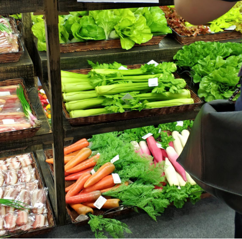 第123届广交会图文报道：迷你无人机低空操控引围观，水管疏通器“炮”红展馆