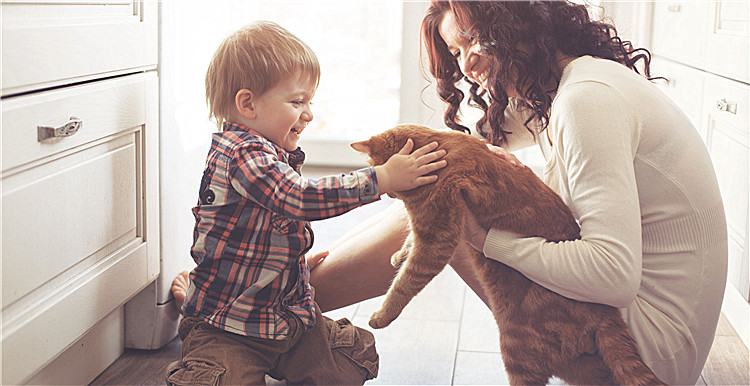 ​掘金宠物用品市场，亚马逊全球开店招商经理都支了哪些招