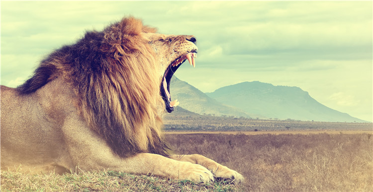 营收、利润、增幅…2017年度哪家跨境电商企业表现最牛?