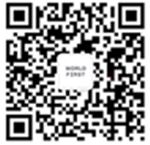 WorldFirst重磅推出全新B2B跨境支付产品World Account