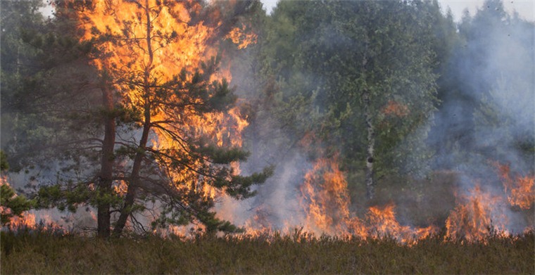 美国山火肆虐，eBay宣布将为受影响的卖家提供保护