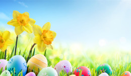 數(shù)說Cdiscount的2017：全年營業(yè)收入達到34億歐元