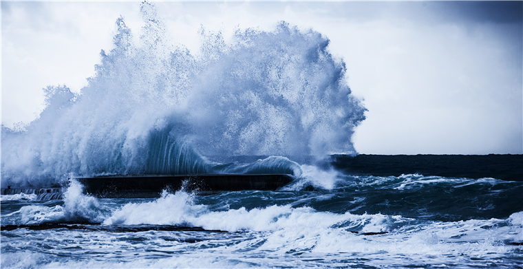 平均上线一年多，这些速卖通卖家双11如何实现近600％的增长？