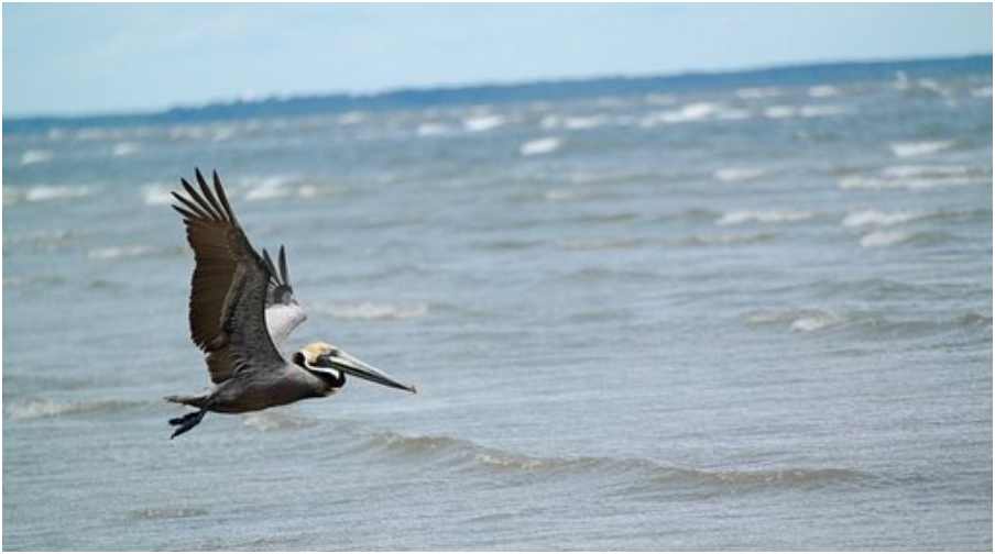 离岸账户又被封了！？那你一定没有用过它！
