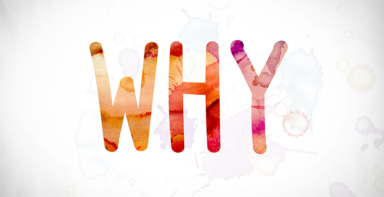 离岸账户又被封了！？那你一定没有用过它！