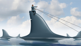 荷兰电商排名榜:这个电商卖家连续3年第一