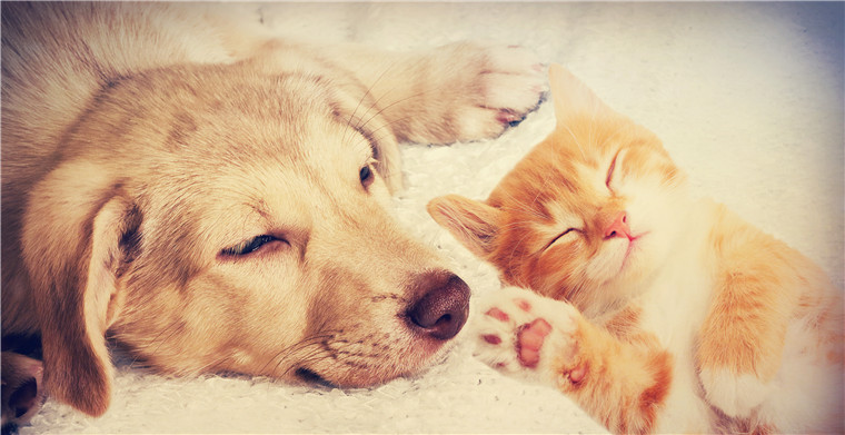 欧盟拟取消米面等保质期，奶制品不在此列