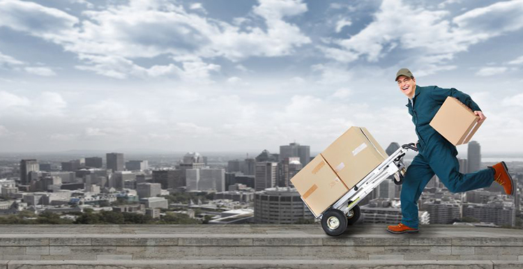 跨境物流受资本青睐,顺友公司获数千万元风险投资