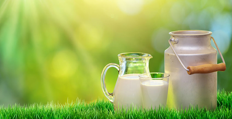 进口奶跌破10元/升，50%进口牛奶代理商亏本经营