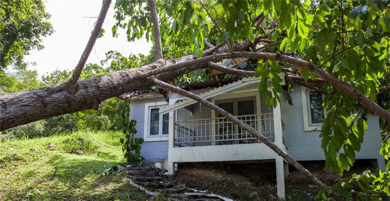 自然灾害频发，日本物流正遭受大雨和火山的双重考验