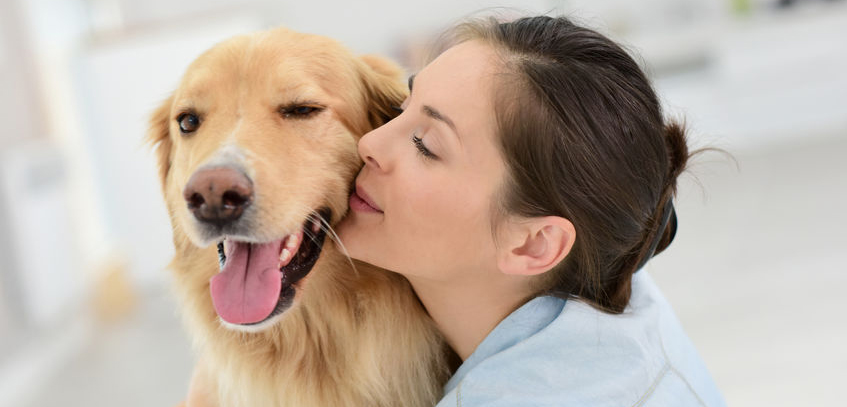 广交会：中国宠物用品瞄准跨境电商，欧洲人重质量美国人爱便宜