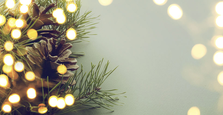 德国：一半以上的圣诞树“有毒”